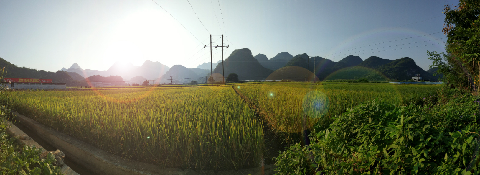 順利,成長(cháng) 順利,成長(cháng)